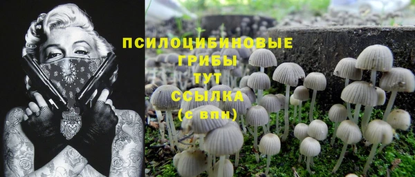 круглые Михайловка
