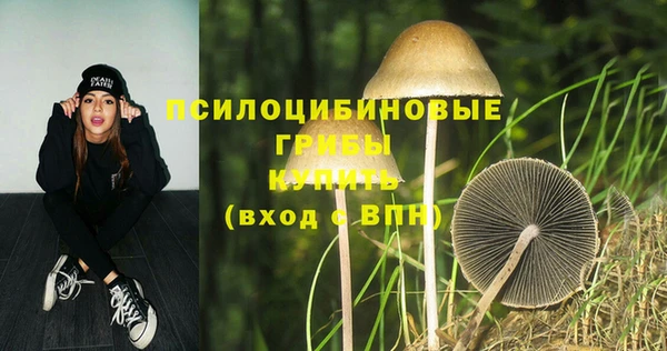 кокаин перу Михайлов