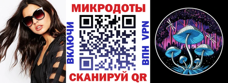 Галлюциногенные грибы Psilocybe  Купить  Катав-Ивановск 