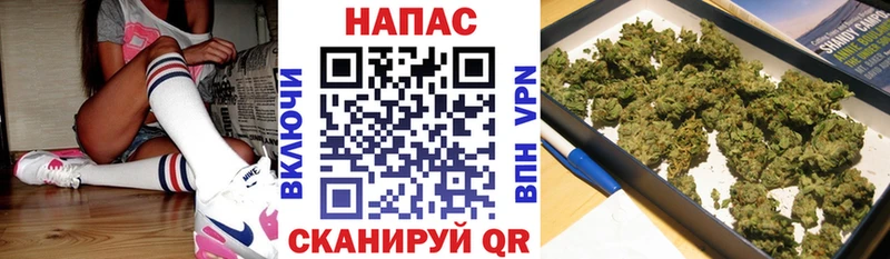 Купить где  Катав-Ивановск  Канабис план 
